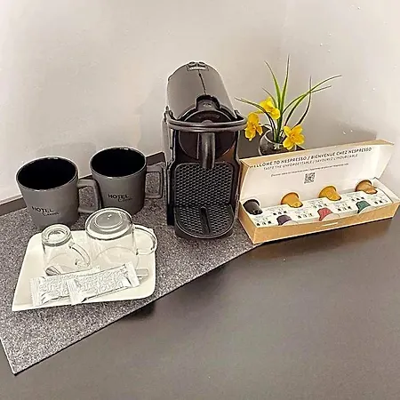 Boutique Elisei 호텔 2*